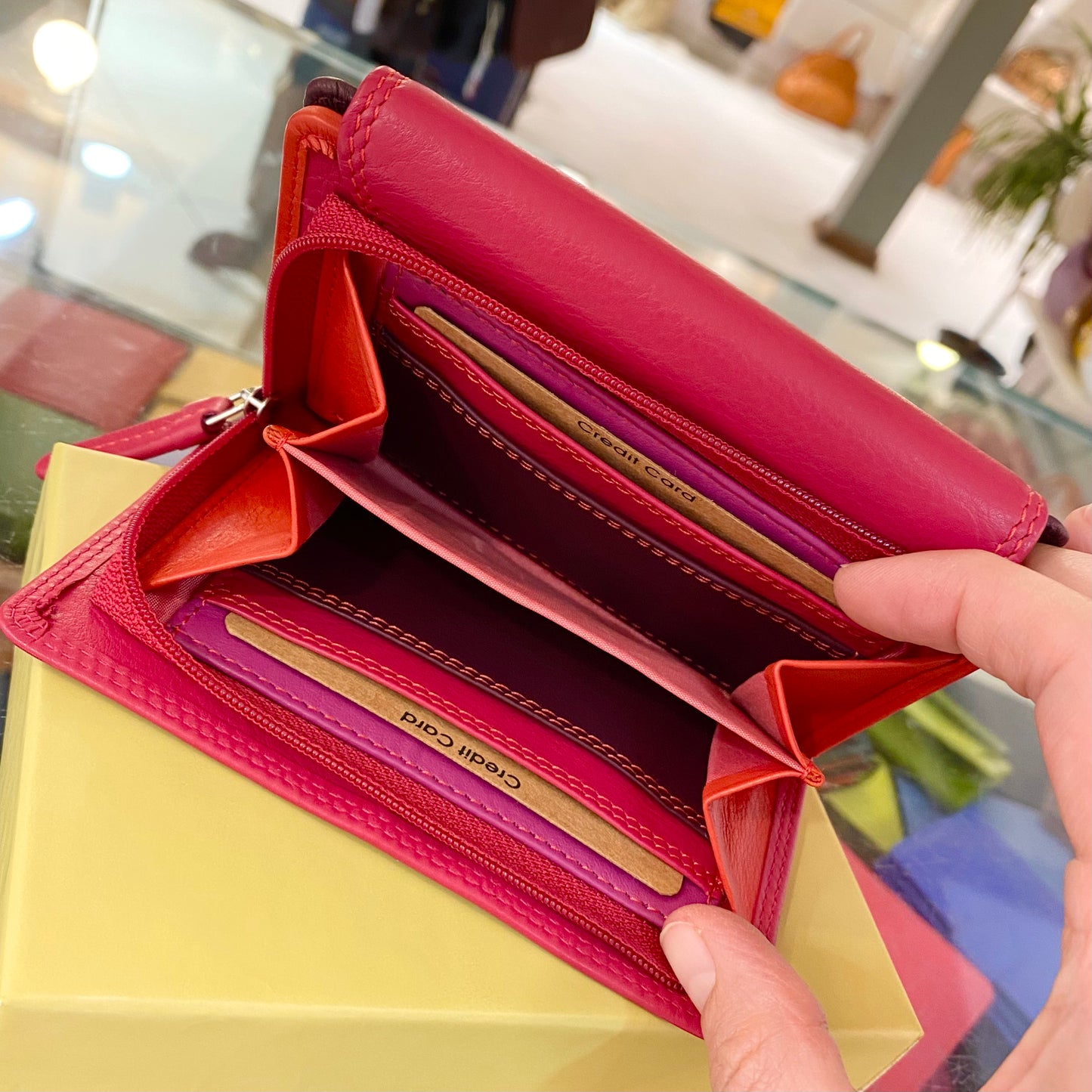 Portafoglio multicolor